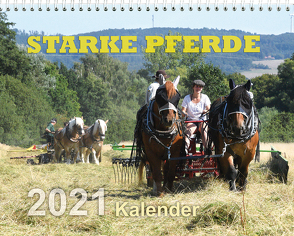 Starke Pferde-Kalender 2021 von Schroll,  Erhard