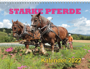 Starke Pferde-Kalender 2022 von Schroll,  Erhard
