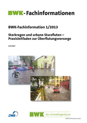Starkregen und urbane Sturzfluten – Praxisleitfaden zur Überflutungsvorsorge. Ausgabe Juli 2013.