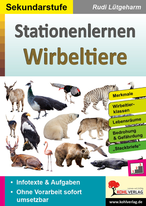 Stationenlernen Wirbeltiere von Lütgeharm,  Rudi