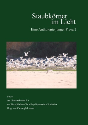 Staubkörner im Licht von Leisten,  Christoph