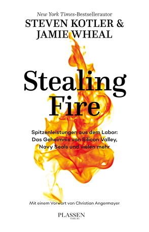 Stealing Fire von Kotler,  Steven, Mania,  Hubert, Wheal,  Jamie