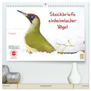 Steckbriefe einheimischer Vögel (hochwertiger Premium Wandkalender 2024 DIN A2 quer), Kunstdruck in Hochglanz von Feske,  Klaus