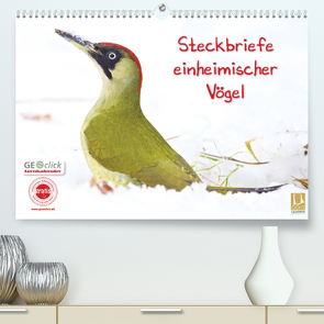 Steckbriefe einheimischer Vögel (Premium, hochwertiger DIN A2 Wandkalender 2022, Kunstdruck in Hochglanz) von Feske,  Klaus