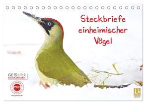Steckbriefe einheimischer Vögel (Tischkalender 2024 DIN A5 quer), CALVENDO Monatskalender von Feske,  Klaus