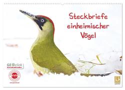 Steckbriefe einheimischer Vögel (Wandkalender 2024 DIN A2 quer), CALVENDO Monatskalender von Feske,  Klaus
