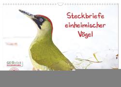 Steckbriefe einheimischer Vögel (Wandkalender 2024 DIN A3 quer), CALVENDO Monatskalender von Feske,  Klaus