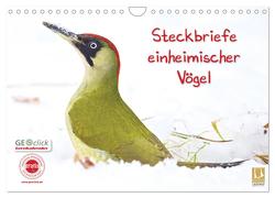Steckbriefe einheimischer Vögel (Wandkalender 2024 DIN A4 quer), CALVENDO Monatskalender von Feske,  Klaus