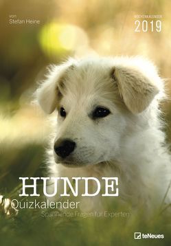 Stefan Heine Hunde-Quiz 2019