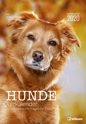 Stefan Heine Hunde-Quiz 2020 Wochenkalender