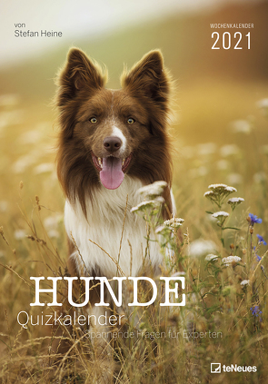 Stefan Heine Hunde Quizkalender 2021 Wochenkalender – Quizkalender – Rätselkalender – Jede-Woche-neue-Rätsel – Tierkalender – 23,7×34 von Heine,  Stefan