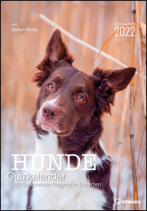 Stefan Heine Hunde Quizkalender 2022 Wochenkalender – Quizkalender – Rätselkalender – Jede-Woche-neue-Rätsel – Tierkalender – 23,7×34 von Heine,  Stefan