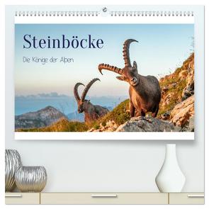 Steinböcke – Die Könige der Alpen (hochwertiger Premium Wandkalender 2024 DIN A2 quer), Kunstdruck in Hochglanz von Kramer,  Michaela