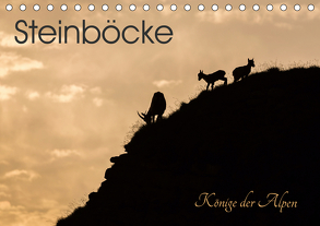 Steinböcke – Könige der Alpen (Tischkalender 2020 DIN A5 quer) von Weber - tiefblicke.ch,  Mel