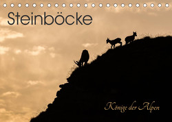 Steinböcke – Könige der Alpen (Tischkalender 2023 DIN A5 quer) von Weber - tiefblicke.ch,  Mel