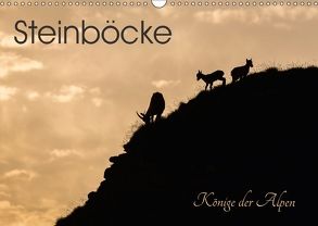 Steinböcke – Könige der Alpen (Wandkalender 2018 DIN A3 quer) von Weber - tiefblicke.ch,  Mel