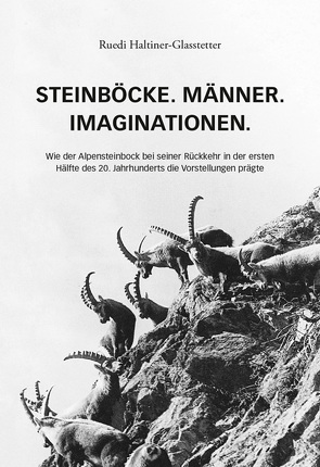 Steinböcke. Männer. Imaginationen. von Haltiner,  Rudolf, Haltiner-Glasstetter,  Ruedi