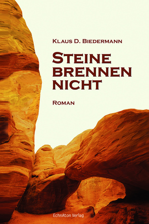 Steine brennen nicht von Biedermann,  Klaus D.