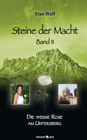 Steine der Macht – Band 11 von Wolf,  Stan