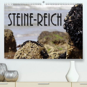 Steine-Reich (Premium, hochwertiger DIN A2 Wandkalender 2023, Kunstdruck in Hochglanz) von Flori0