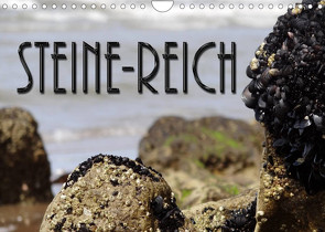 Steine-Reich (Wandkalender 2023 DIN A4 quer) von Flori0