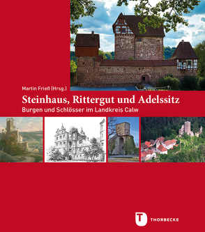 Steinhaus, Rittergut und Adelssitz von Damminger,  Folke, Friess,  Martin, Gebauer,  Hellmut J, Hönes,  Jiri, Meyerdirks,  Uwe, Morrissey,  Christoph, Radt,  Timm, Roller,  Horst, Waidelich,  Dietmar, Würfele,  Hartmut