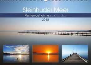 Steinhuder Meer, Momentaufnahmen von Christine Bienert (Wandkalender 2018 DIN A2 quer) von Bienert,  Christine