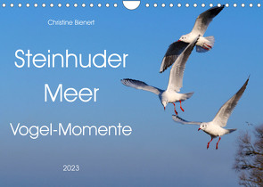 Steinhuder Meer, Vogel-Momente (Wandkalender 2023 DIN A4 quer) von Bienert,  Christine