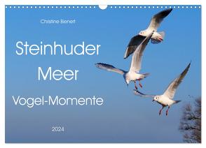 Steinhuder Meer, Vogel-Momente (Wandkalender 2024 DIN A3 quer), CALVENDO Monatskalender von Bienert,  Christine