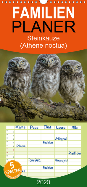 Steinkäuze (Athene noctua) – Familienplaner hoch (Wandkalender 2020 , 21 cm x 45 cm, hoch) von Rusch,  Winfried