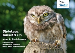 Steinkauz, Amsel & Co. von Mainz und Umgebung,  NABU, Witzke,  Bodo