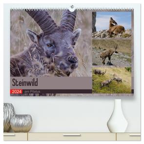 Steinwild am Pilatus (hochwertiger Premium Wandkalender 2024 DIN A2 quer), Kunstdruck in Hochglanz von W. Saul,  Norbert