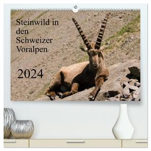 Steinwild in den Schweizer Voralpen (hochwertiger Premium Wandkalender 2024 DIN A2 quer), Kunstdruck in Hochglanz von W. Saul,  Norbert