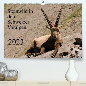 Steinwild in den Schweizer Voralpen (Premium, hochwertiger DIN A2 Wandkalender 2023, Kunstdruck in Hochglanz) von W. Saul,  Norbert