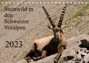 Steinwild in den Schweizer Voralpen (Tischkalender 2023 DIN A5 quer) von W. Saul,  Norbert