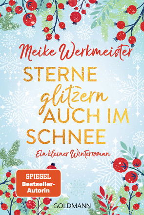 Sterne glitzern auch im Schnee von Werkmeister,  Meike