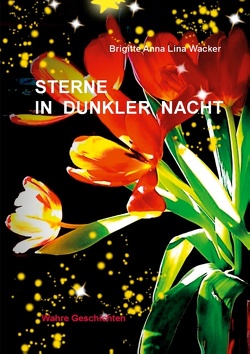 Sterne in dunkler Nacht von Wacker,  Brigitte Anna Lina