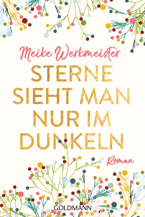 Sterne sieht man nur im Dunkeln von Werkmeister,  Meike