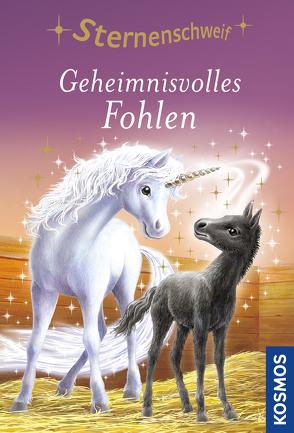Sternenschweif, 10, Geheimnisvolles Fohlen von Chapman,  Linda, Schaub,  Bettina
