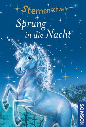 Sternenschweif, 2, Sprung in die Nacht von Chapman,  Linda, Schaub,  Bettina