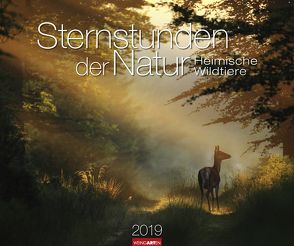 Sternstunden der Natur – Kalender 2019 von Weingarten