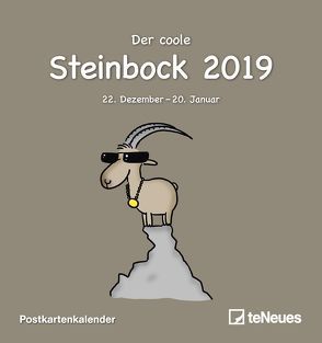 Sternzeichen Steinbock 2019