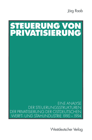 Steuerung von Privatisierung von Raab,  Jörg
