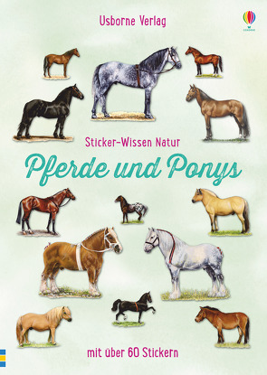 Sticker-Wissen Natur: Pferde und Ponys von Spector,  Joanna, Testar,  Sue