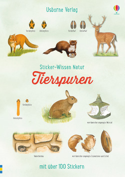 Sticker-Wissen Natur: Tierspuren von Jackson,  Ian, Leutscher,  Alfred, Shields,  Chris