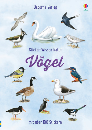 Sticker-Wissen Natur: Vögel von Boyer,  Trevor, Clarke,  Phillip, Testar,  Sue