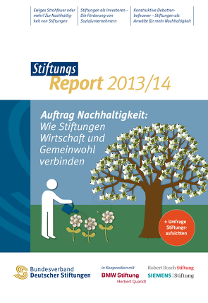 StiftungsReport 2013/14 von Bischoff,  Antje, Bühner,  Sebastian, Hagedorn,  Sandra, Rummel,  Miriam