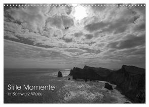 Stille Momente in Schwarz-Weiss (Wandkalender 2024 DIN A3 quer), CALVENDO Monatskalender von Huber,  Tobias