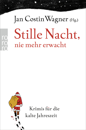 Stille Nacht, nie mehr erwacht. Krimis für die kalte Jahreszeit von Ani,  Friedrich, Annas,  Max, Bernuth,  Christa von, Beyer,  Claire, Bohnet,  Katja, Buchholz,  Simone, Dorn,  Wulf, Erler,  Lukas, Fischler,  Joe, Geier,  Monika, Groschupf,  Johannes, Harlander,  Wolf, Hausmann,  Romy, Kehrer,  Jürgen, Kramp,  Ralf, Lüpkes,  Sandra, Merchant,  Judith, Mischke,  Susanne, Neft,  Anselm, Noll,  Ingrid, Raether,  Till, Rikl,  Claudia, Rubinowitz,  Tex, Simon,  Axel, Stermann,  Dirk, Wagner,  Jan Costin