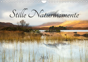 Stille Naturmomente (Wandkalender 2023 DIN A4 quer) von Beyer (Moqui),  Daniela